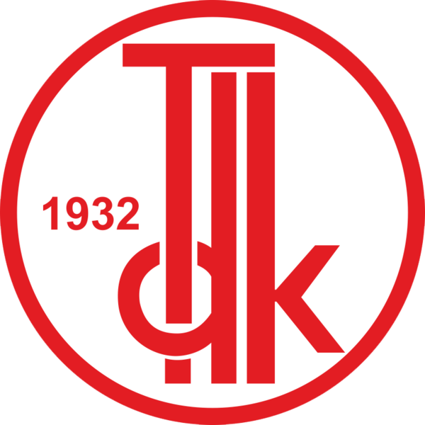 TDK Logo